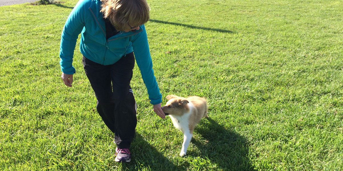 Virginia training a puppy